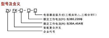 ZUFK系列智能復合開關(guān)型號說明 ZUFK系列智能復合開關(guān)型號說明